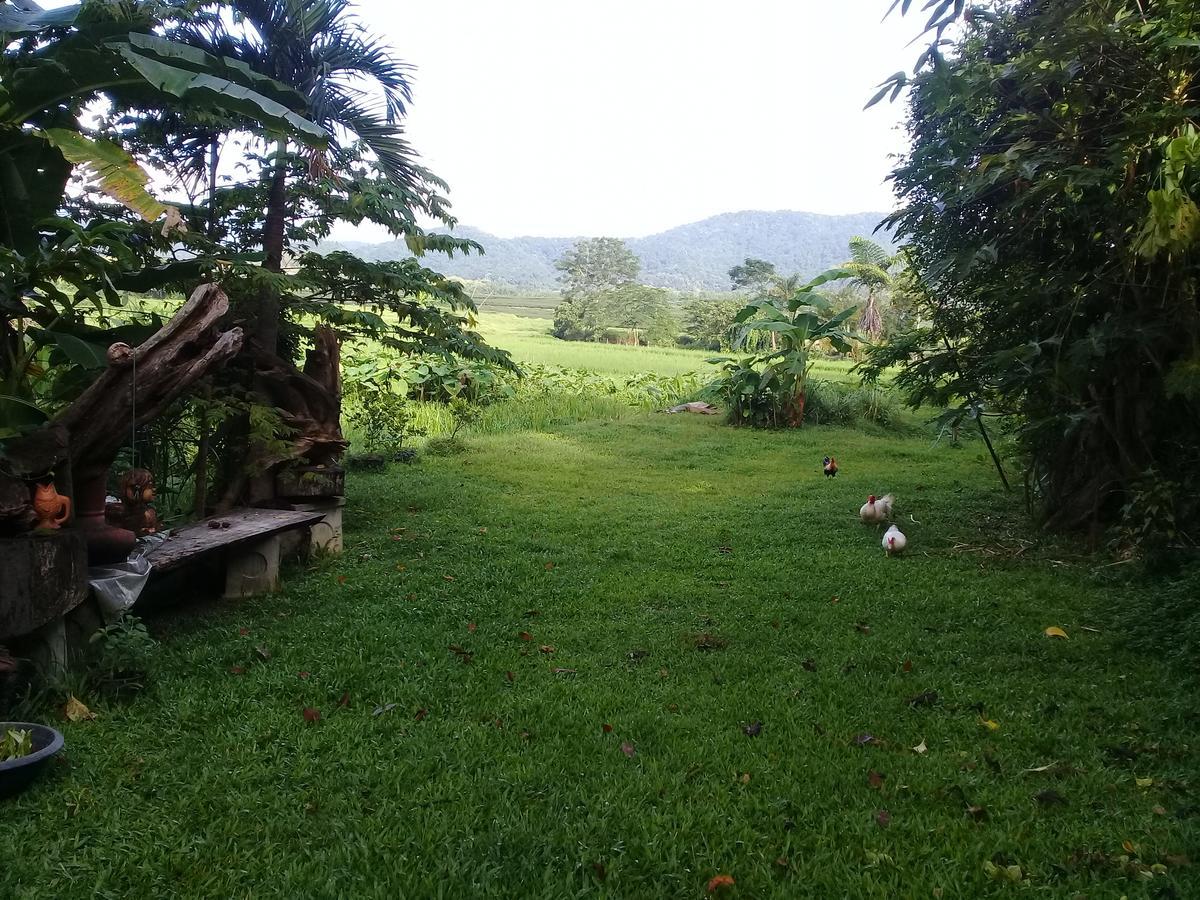 Baan Suan Jantra Home Stay Chiang Rai Buitenkant foto