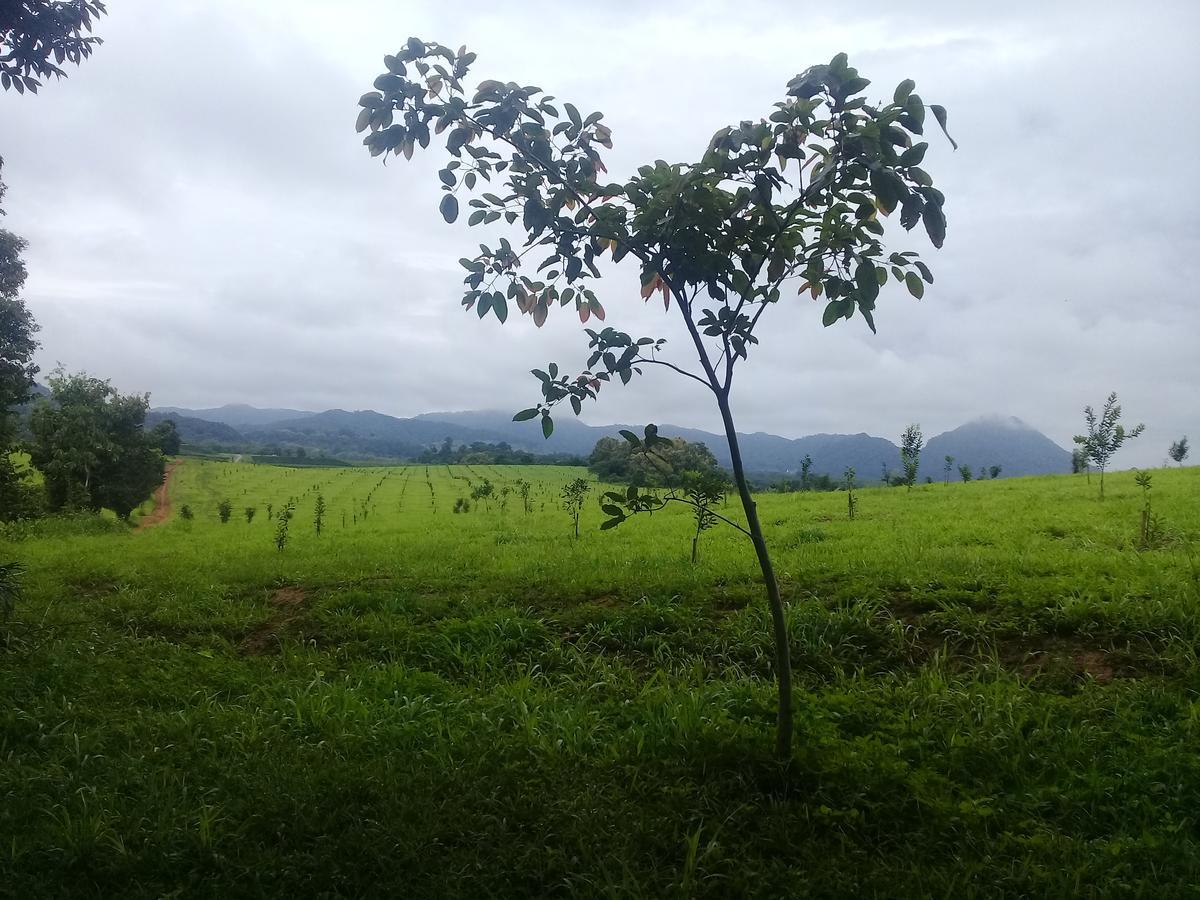 Baan Suan Jantra Home Stay Chiang Rai Buitenkant foto