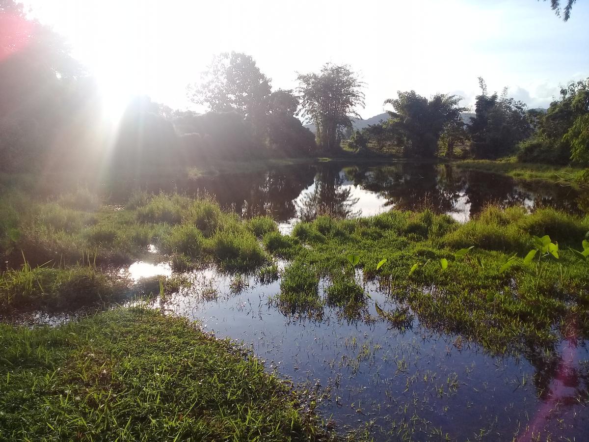 Baan Suan Jantra Home Stay Chiang Rai Buitenkant foto