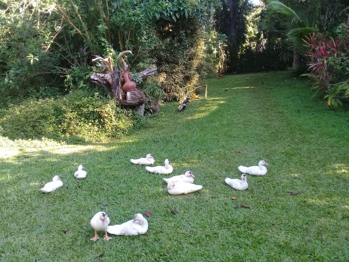 Baan Suan Jantra Home Stay Chiang Rai Buitenkant foto