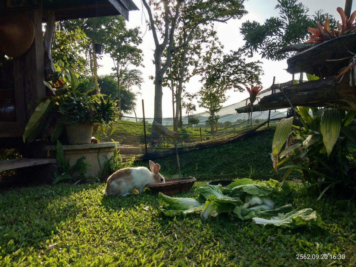 Baan Suan Jantra Home Stay Chiang Rai Buitenkant foto
