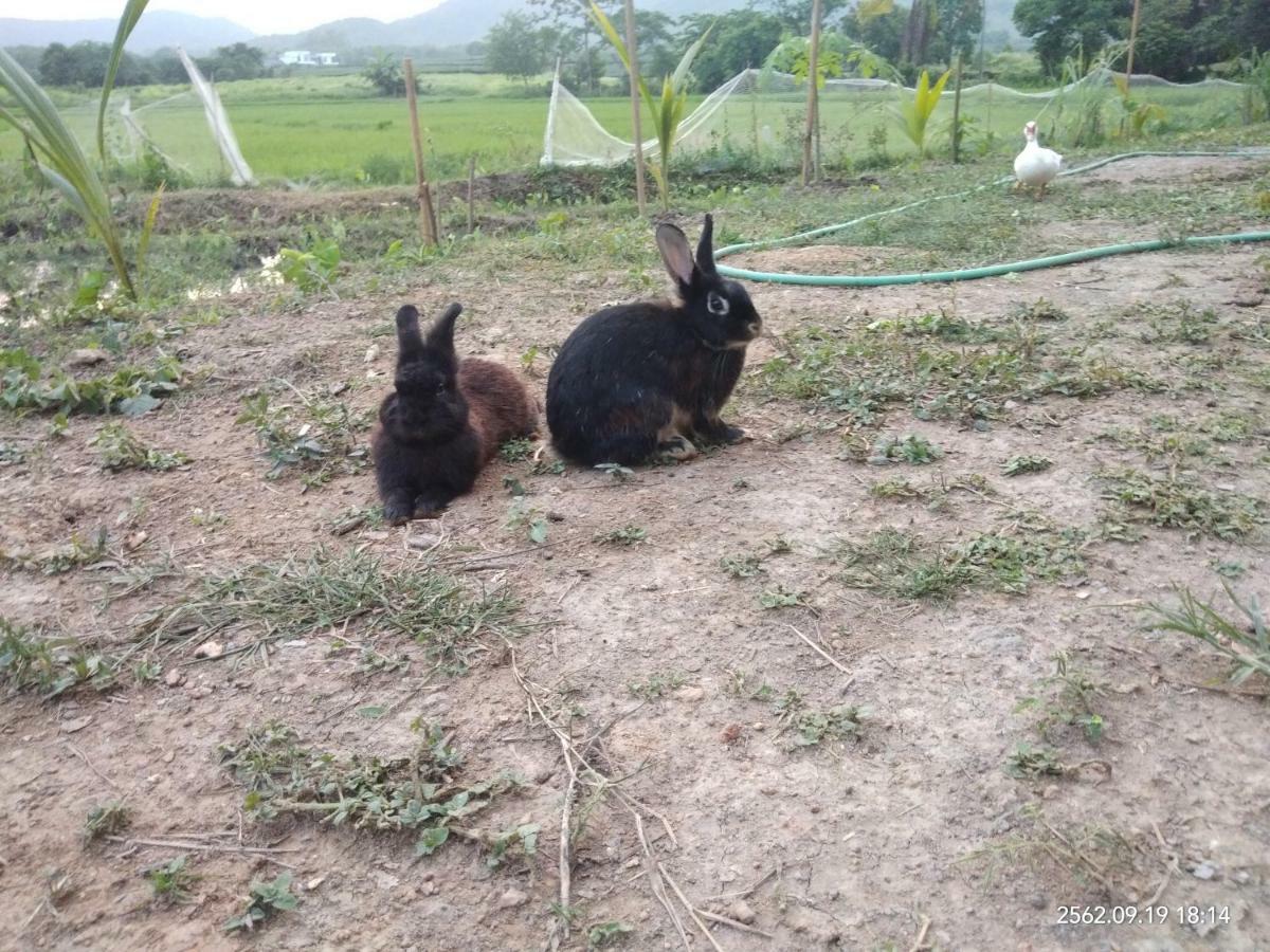 Baan Suan Jantra Home Stay Chiang Rai Buitenkant foto
